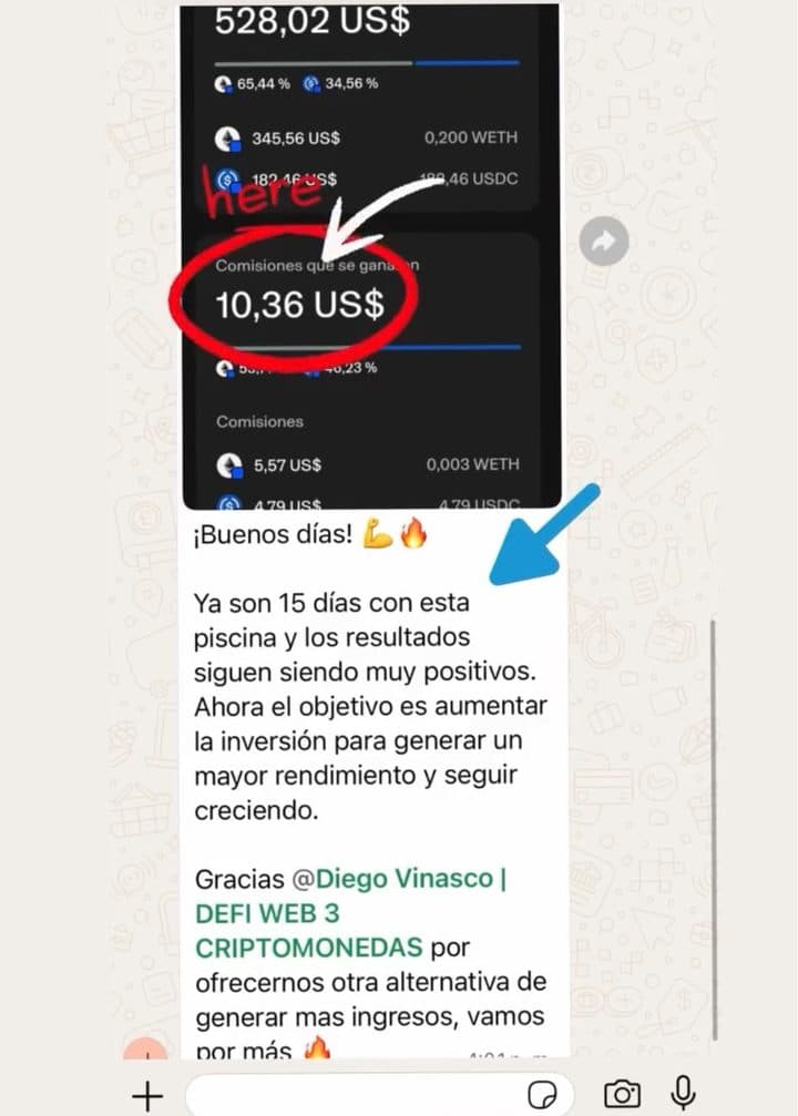 Chat de Miembro de la comunidad