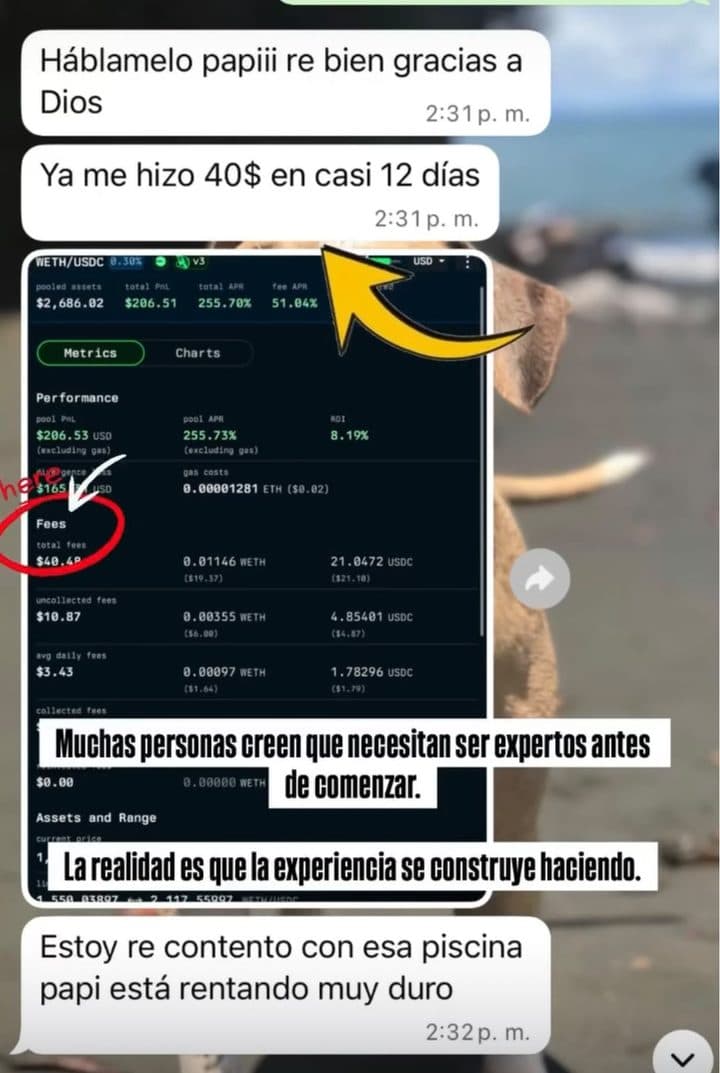 Chat de Miembro de la comunidad